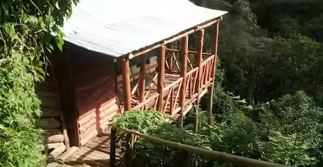 Bwindi-Jungle-View-Lodge