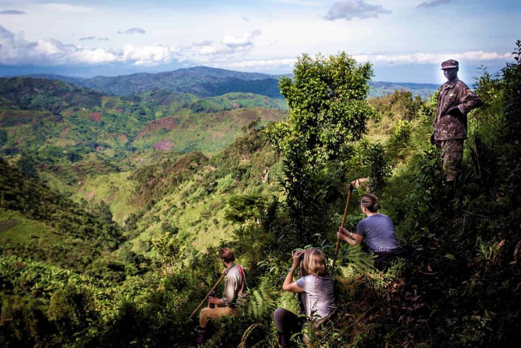 Forest Hike in Uganda