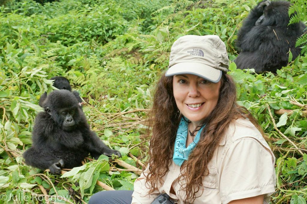 A lady with a young gorilla in the Background via a gorilla trekking trip to Uganda