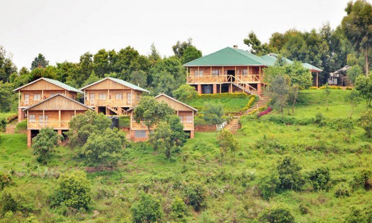 Ruhija-Gorilla-Safari-Lodge