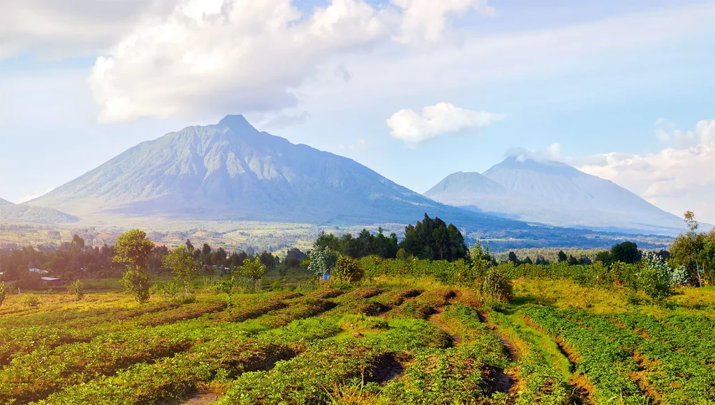 Virunga Mountains northwestern Rwanda Africa