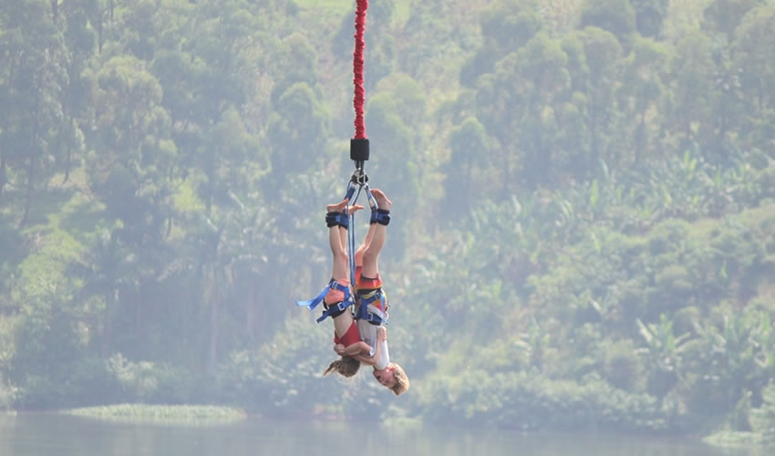 2 Tourists an Adult and a Toddler Bungee Jumping together
