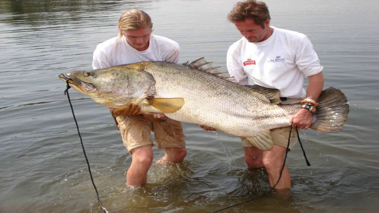 Sport fishing Lake Victoria Uganda