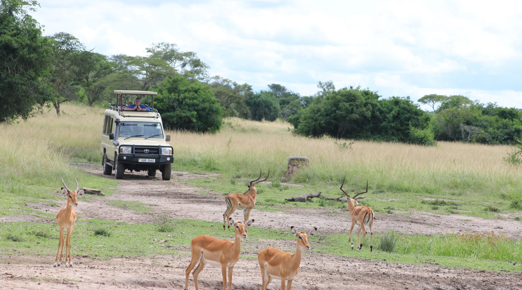 Unique expedition to lake Mburo National Park