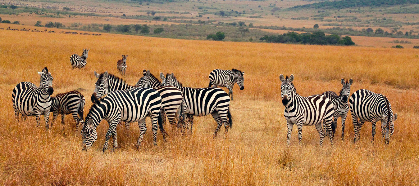 kidepo Valley National park