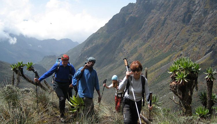 rwenzori mountains trekking 750x429 1