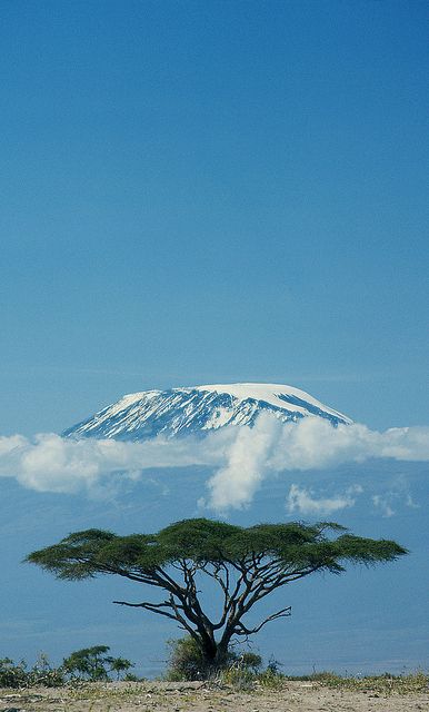 024da42354a26b453e06c6a0bee07678 mount kilimanjaro tanzania