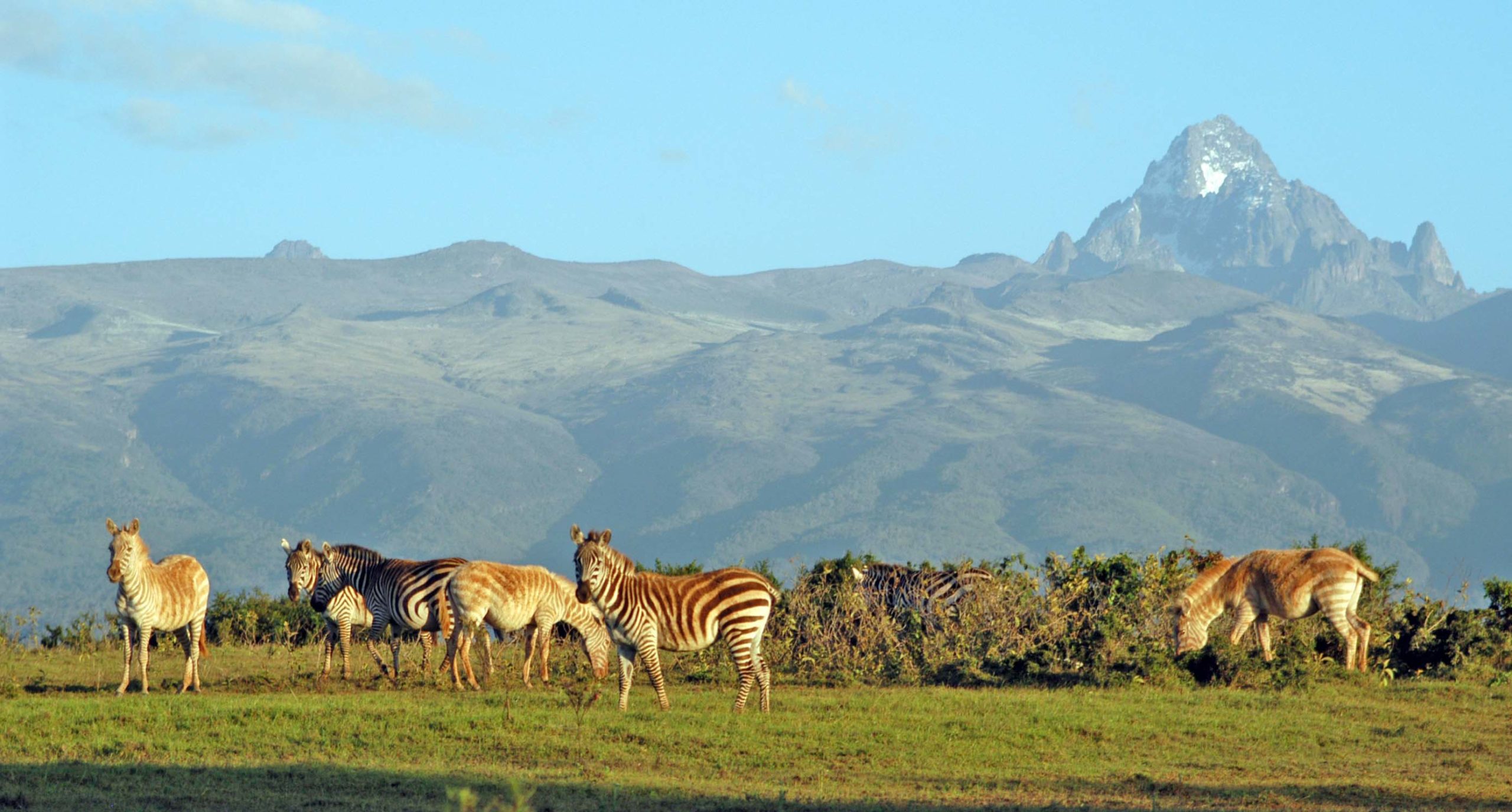 Mount Kenya National Park scaled