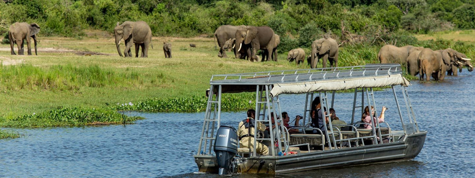 boat safari