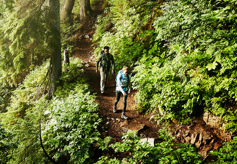 Image of 2 Hikers Hiking through a forest