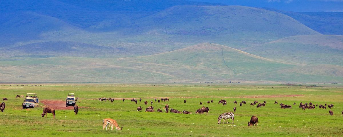 ngorongoro crater game