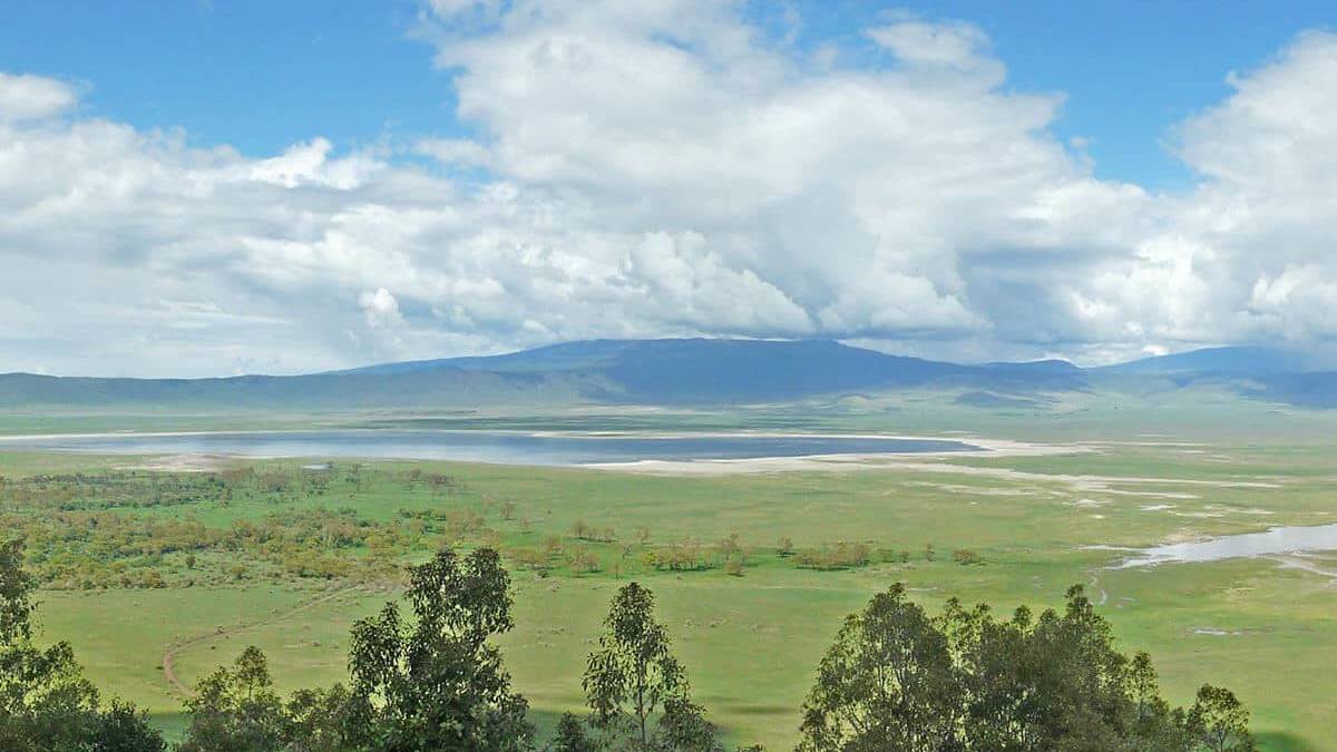 ngorongoro