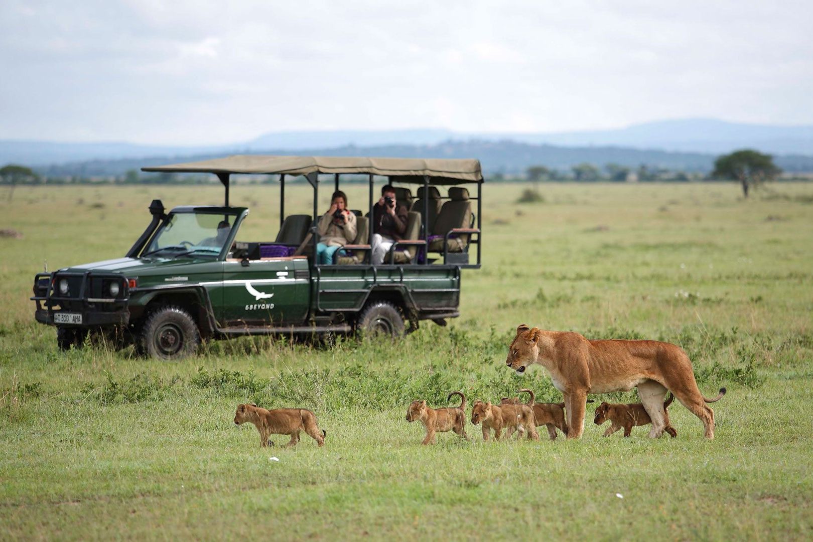 serengeti pic 1