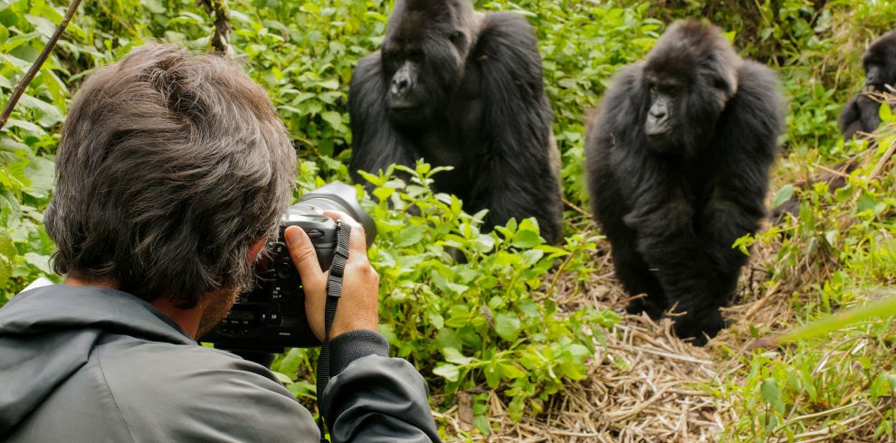 5 Days Uganda Gorilla and wildlife