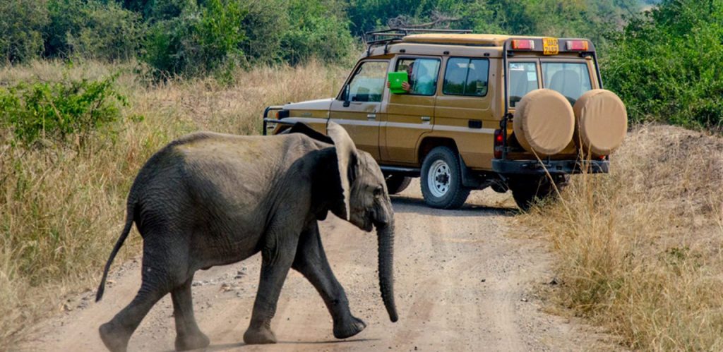 Uganda Game Viewing 1536x748 1